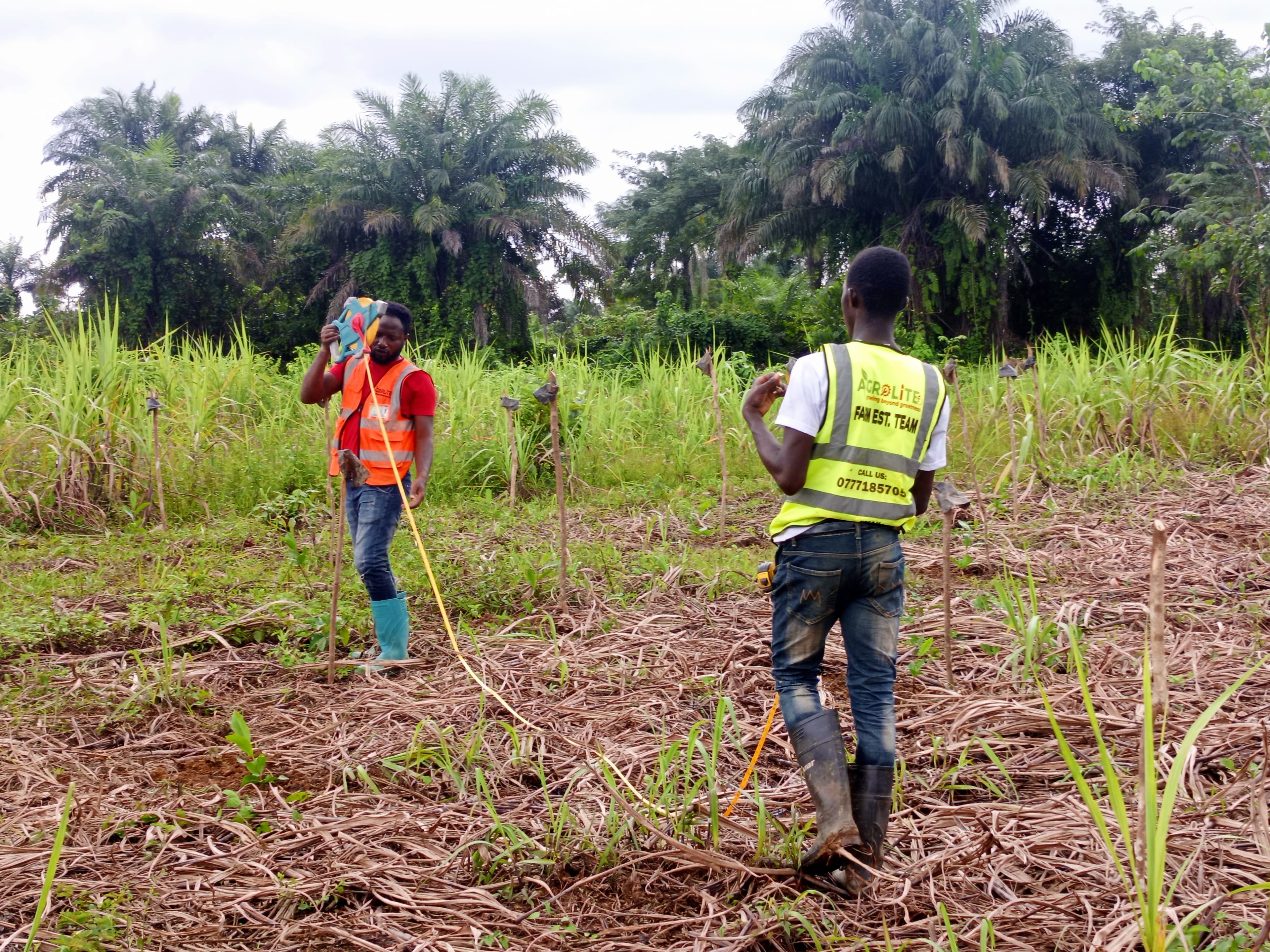 AgroLite supporting Liberian farmers