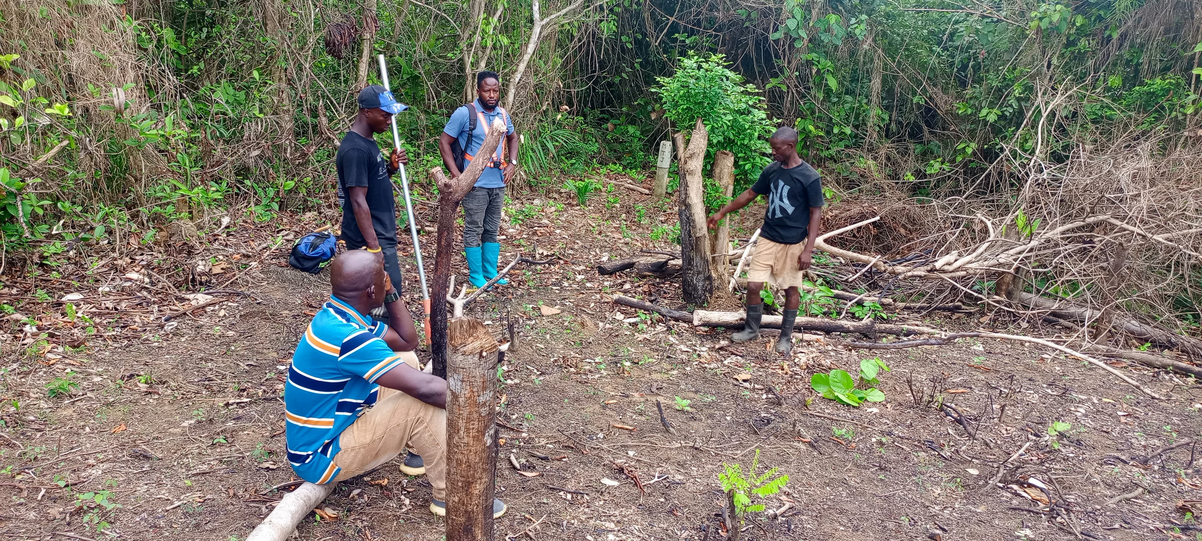 Farm Layout & Pegging Services