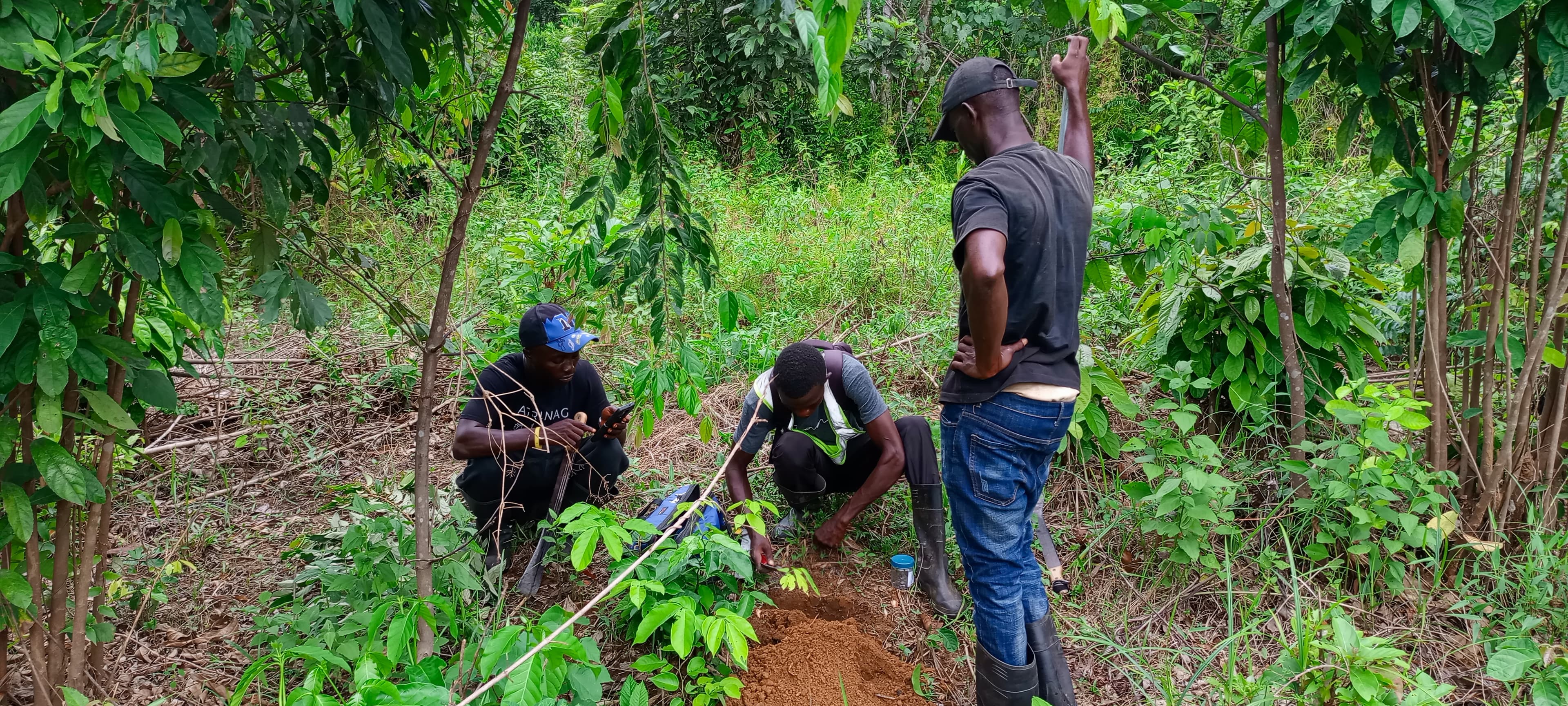 AgroLite impact story: Growing Together — farmers and community members in Liberia